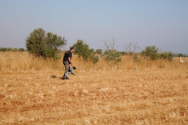 Αγωνες Α.Κ.Ι 18/6/2017